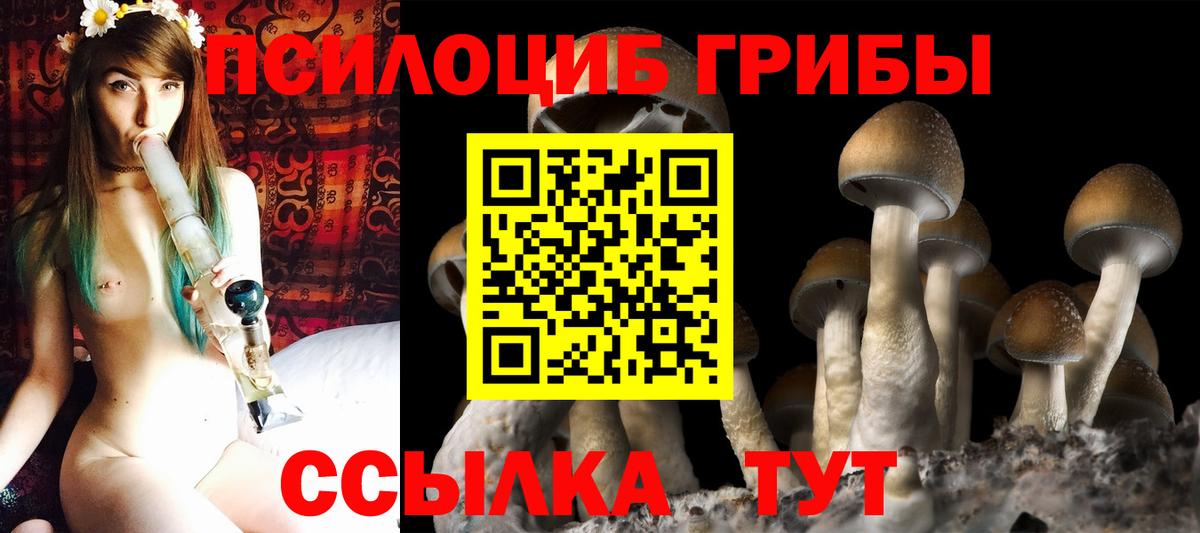 Псилоцибиновые грибы GOLDEN TEACHER Подольск